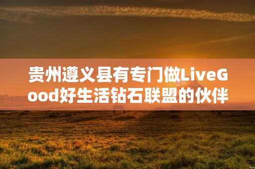 贵州遵义县有专门做LiveGood好生活钻石联盟的伙伴吗