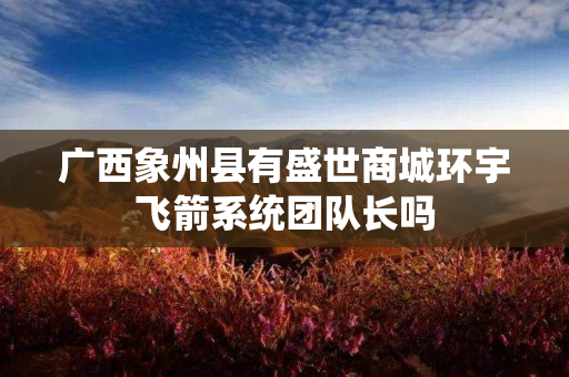 广西象州县有盛世商城环宇飞箭系统团队长吗