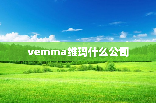 vemma维玛什么公司