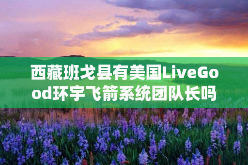 西藏班戈县有美国LiveGood环宇飞箭系统团队长吗