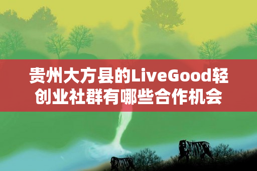 贵州大方县的LiveGood轻创业社群有哪些合作机会