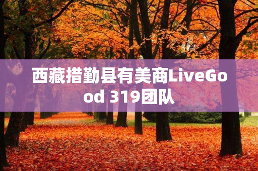 西藏措勤县有美商LiveGood 319团队