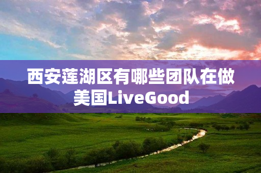 西安莲湖区有哪些团队在做美国LiveGood