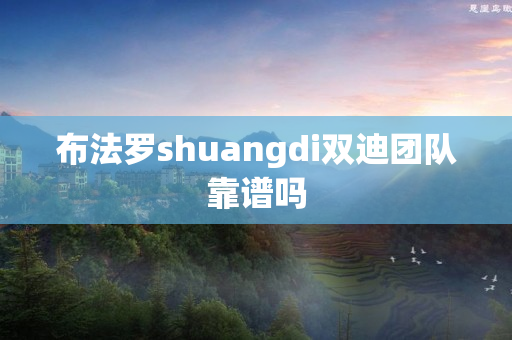 布法罗shuangdi双迪团队靠谱吗