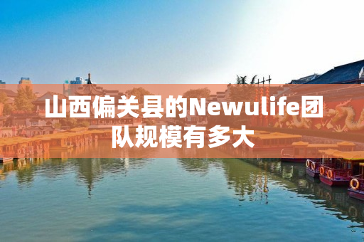 山西偏关县的Newulife团队规模有多大