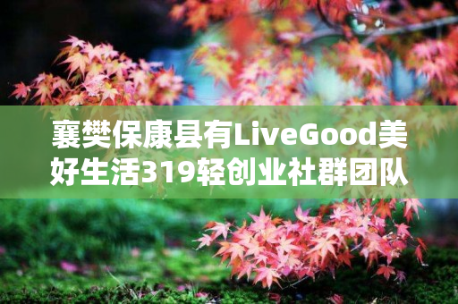 襄樊保康县有LiveGood美好生活319轻创业社群团队吗