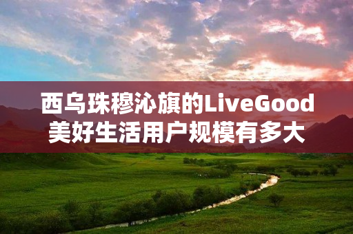 西乌珠穆沁旗的LiveGood美好生活用户规模有多大