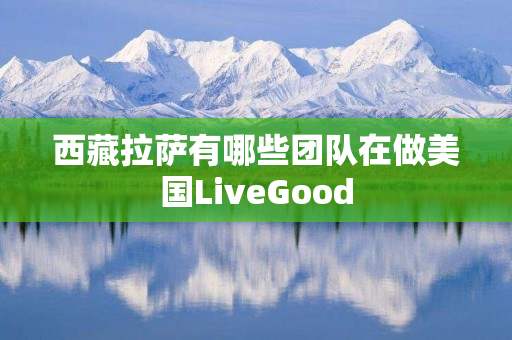 西藏拉萨有哪些团队在做美国LiveGood