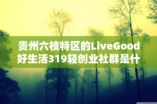 贵州六枝特区的LiveGood好生活319轻创业社群是什么