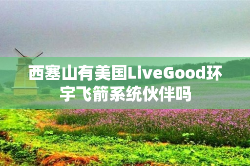 西塞山有美国LiveGood环宇飞箭系统伙伴吗