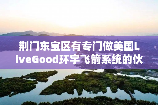 荆门东宝区有专门做美国LiveGood环宇飞箭系统的伙伴吗