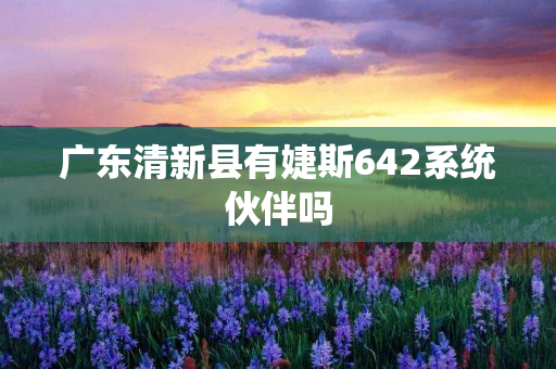 广东清新县有婕斯642系统伙伴吗