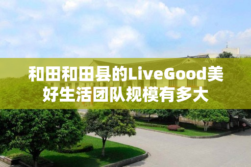 和田和田县的LiveGood美好生活团队规模有多大