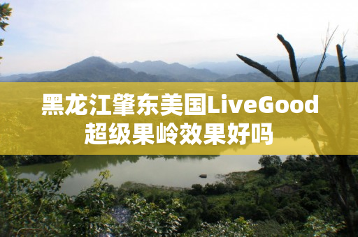 黑龙江肇东美国LiveGood超级果岭效果好吗