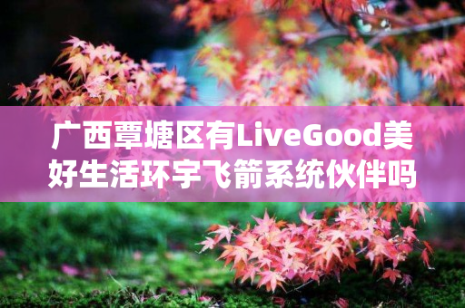 广西覃塘区有LiveGood美好生活环宇飞箭系统伙伴吗