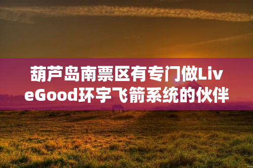 葫芦岛南票区有专门做LiveGood环宇飞箭系统的伙伴吗