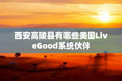 西安高陵县有哪些美国LiveGood系统伙伴