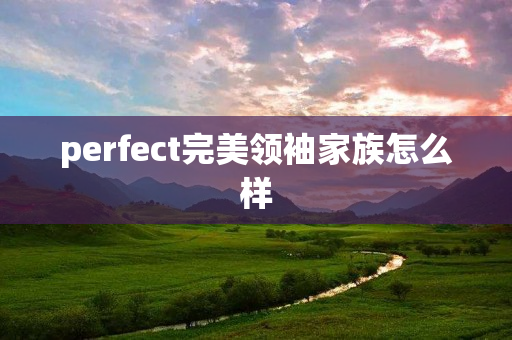 perfect完美领袖家族怎么样