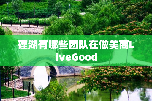 莲湖有哪些团队在做美商LiveGood