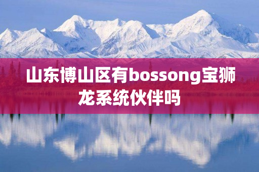 山东博山区有bossong宝狮龙系统伙伴吗