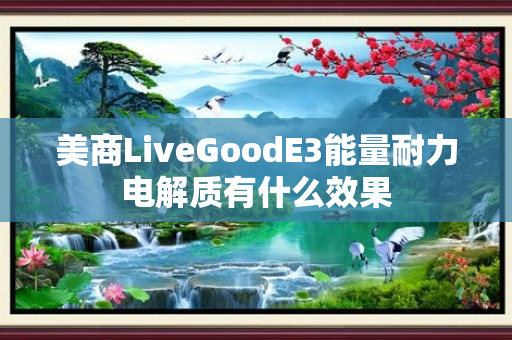 美商LiveGoodE3能量耐力电解质有什么效果