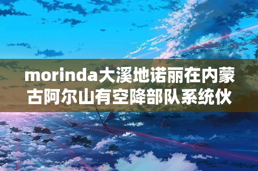 morinda大溪地诺丽在内蒙古阿尔山有空降部队系统伙伴吗