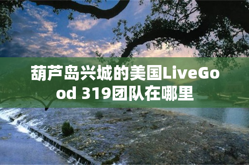 葫芦岛兴城的美国LiveGood 319团队在哪里