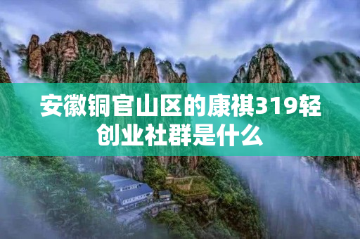 安徽铜官山区的康祺319轻创业社群是什么