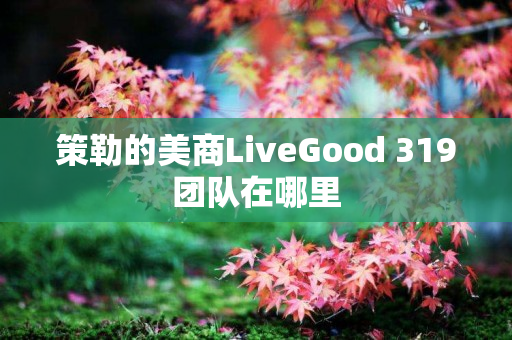 策勒的美商LiveGood 319团队在哪里