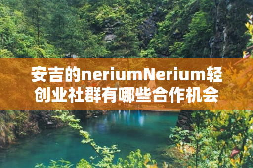 安吉的neriumNerium轻创业社群有哪些合作机会