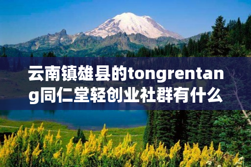 云南镇雄县的tongrentang同仁堂轻创业社群有什么特色