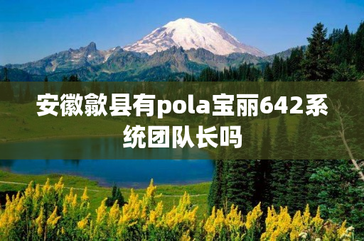 安徽歙县有pola宝丽642系统团队长吗