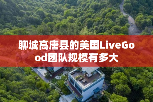 聊城高唐县的美国LiveGood团队规模有多大