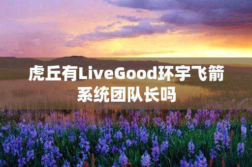 虎丘有LiveGood环宇飞箭系统团队长吗