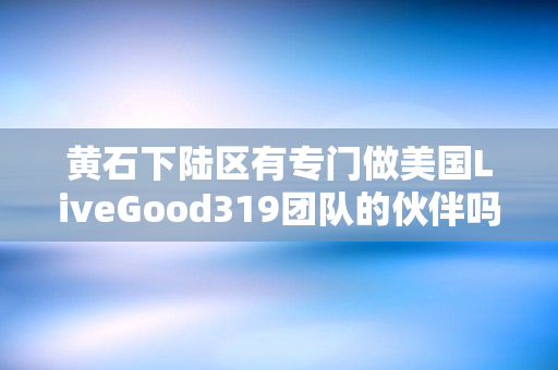 黄石下陆区有专门做美国LiveGood319团队的伙伴吗