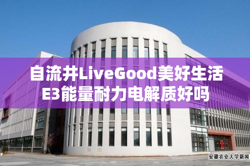 自流井LiveGood美好生活E3能量耐力电解质好吗