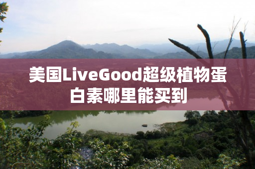 美国LiveGood超级植物蛋白素哪里能买到