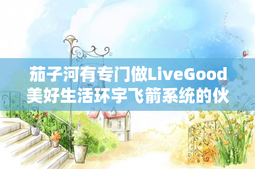 茄子河有专门做LiveGood美好生活环宇飞箭系统的伙伴吗