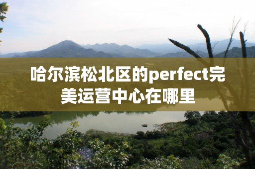 哈尔滨松北区的perfect完美运营中心在哪里