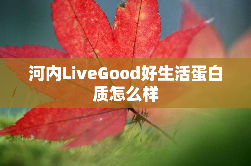 河内LiveGood好生活蛋白质怎么样