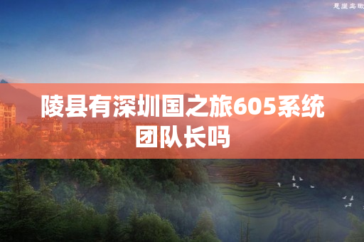 陵县有深圳国之旅605系统团队长吗