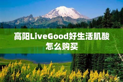 高阳LiveGood好生活肌酸怎么购买