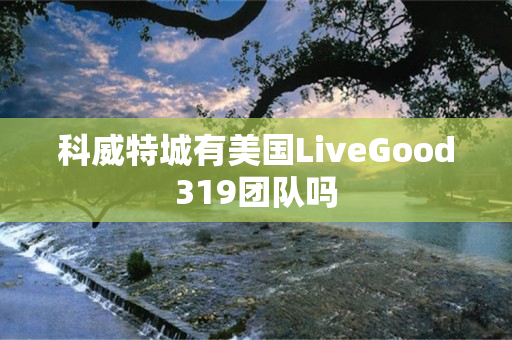 科威特城有美国LiveGood319团队吗