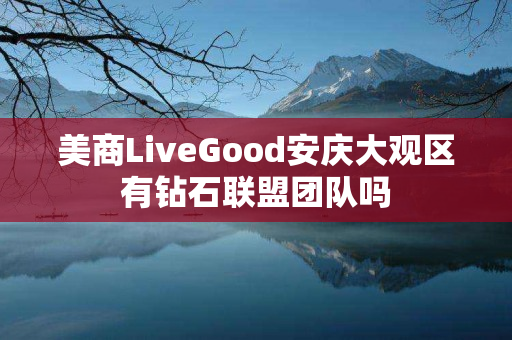 美商LiveGood安庆大观区有钻石联盟团队吗