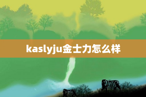 kaslyju金士力怎么样