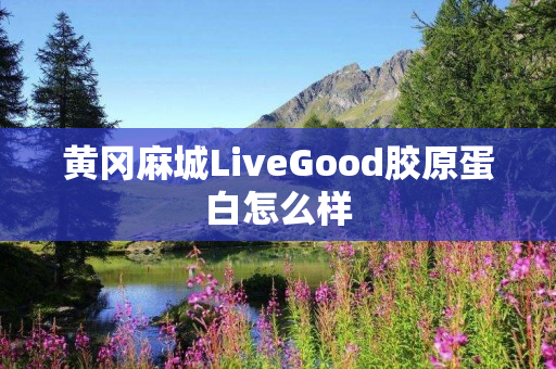 黄冈麻城LiveGood胶原蛋白怎么样