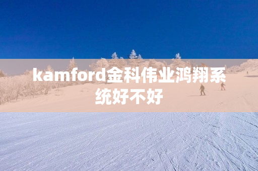 kamford金科伟业鸿翔系统好不好