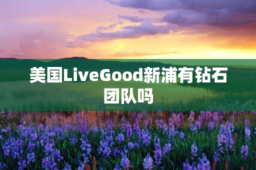 美国LiveGood新浦有钻石团队吗