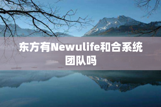 东方有Newulife和合系统团队吗