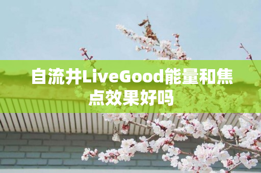 自流井LiveGood能量和焦点效果好吗